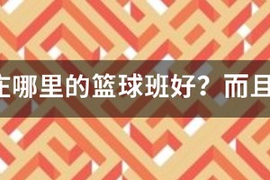 石家庄哪个篮球训练营最好
